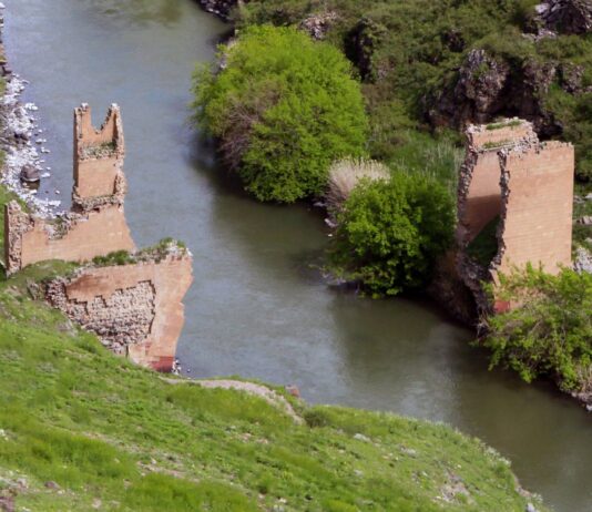 ԱՆԻ-ի ԿԱՆՈՆԱԴՐՈՒԹՅՈՒՆ