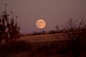 Մայրամուտ, 16