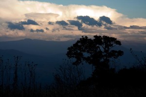 Մայրամուտ, 5