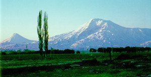 Բարդի Արարատի խորապատկերին