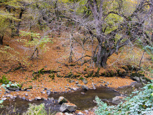 Կիրանց_գետը-1