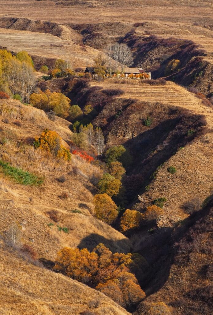 Կալեր