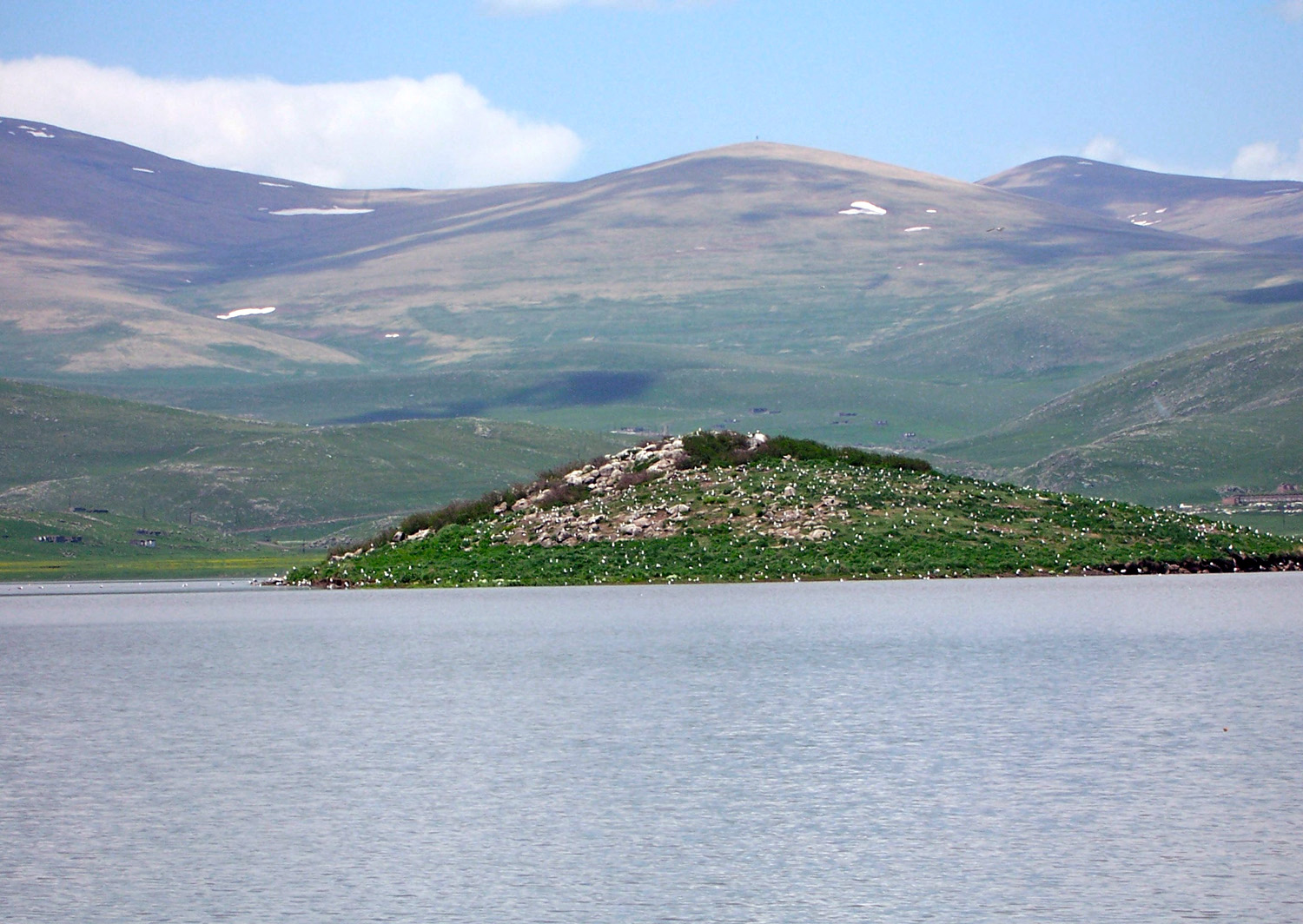 Картинки по запросу "Կարսից մի կտոր"