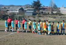 Դովեղ – ԱՖԴ (Արթիկ)՝ 2-1