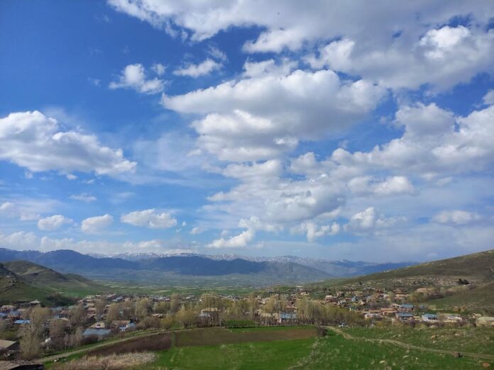 Ծաղկաբեր